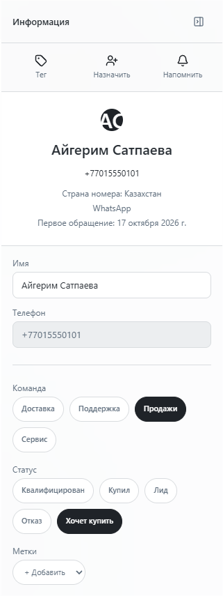 Панель Информация справа от переписки